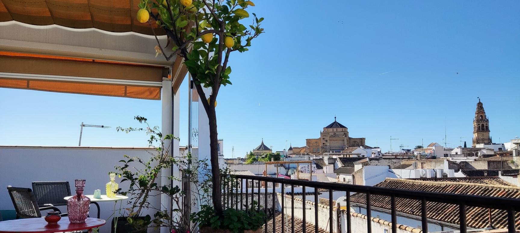 Hotel Madinat | Cordoba | 25