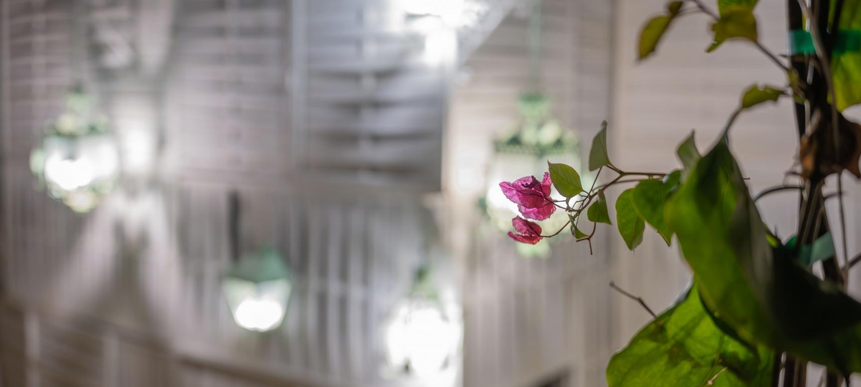 Hotel Madinat | Córdoba | 23