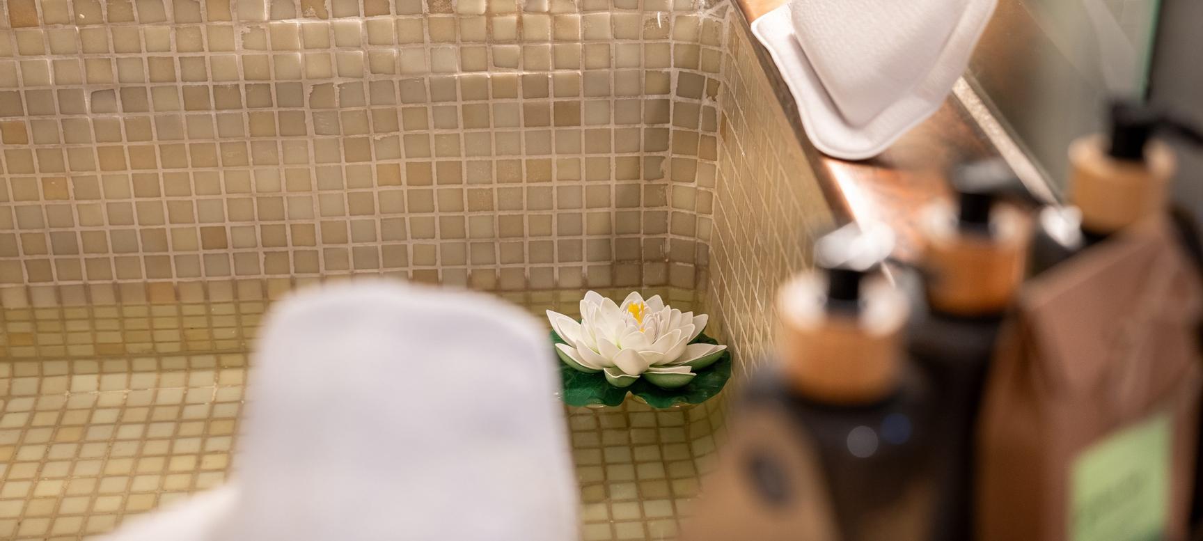 Hotel Madinat | Cordoba | 11