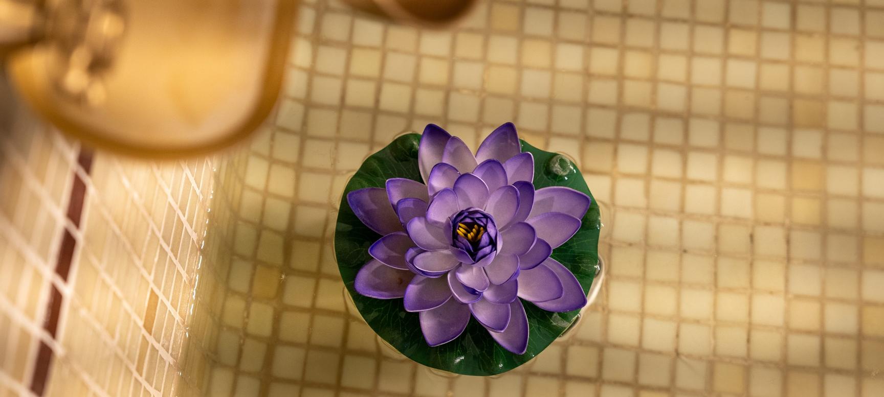 Hotel Madinat | Cordoba | 18