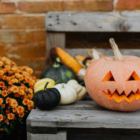 Hotel Madinat | Córdoba  | ¡OFERTA ESPECIAL HALLOWEEN!